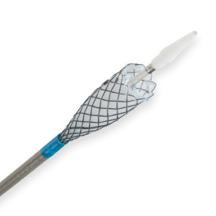 Biliary Stent Gen-II - Micro-Tech UK