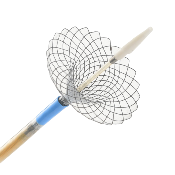 Pseudocyst Stent (GEN-II) - Micro-Tech UK